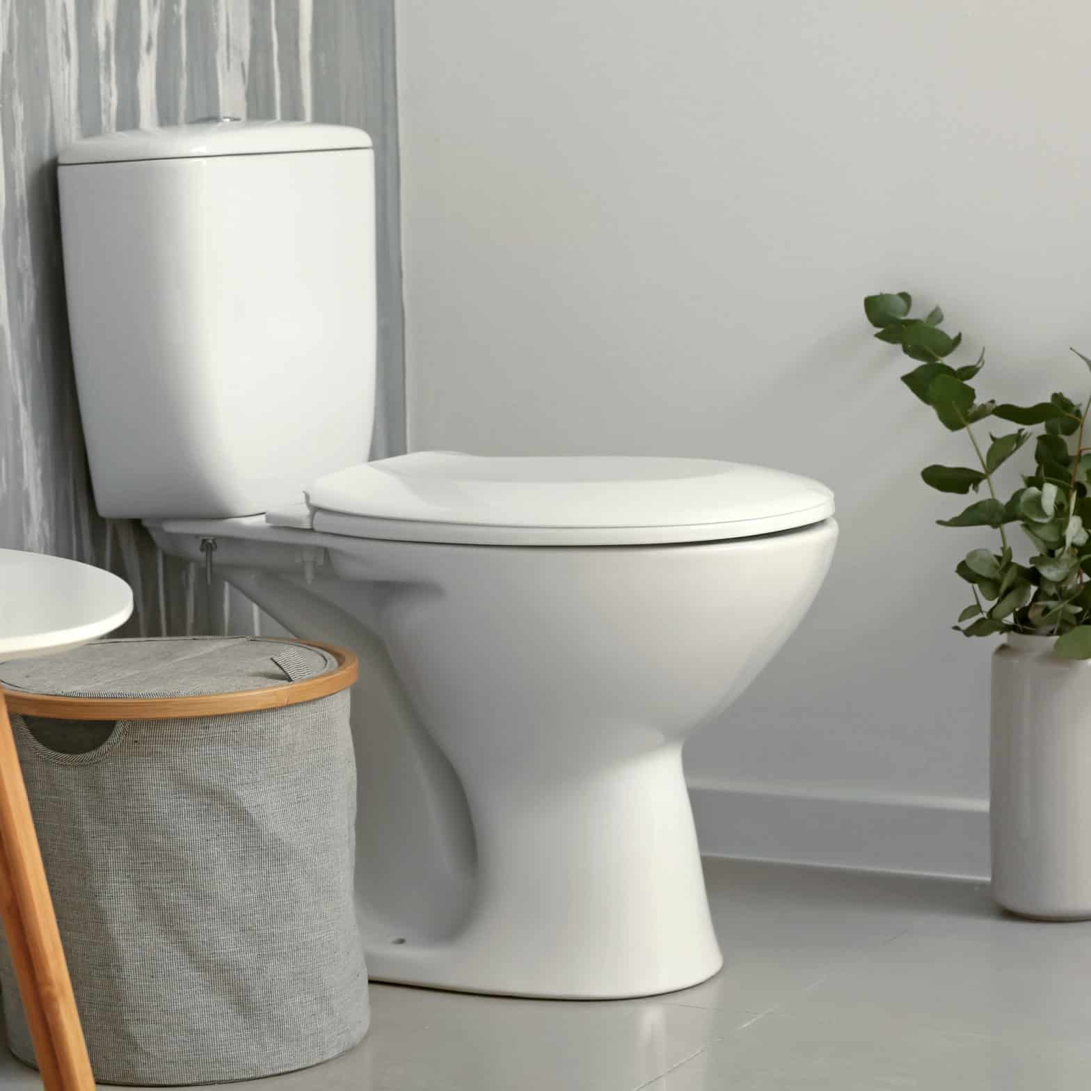 A toilet in a bathroom