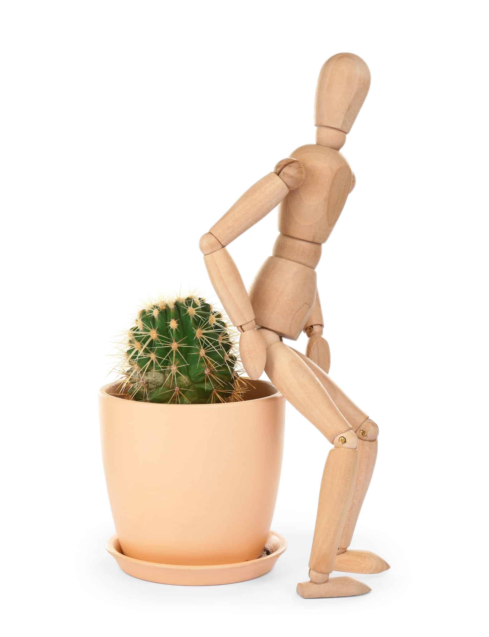 A wooden model of a person with its butt near a cactus plant